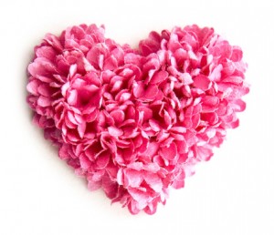 Pink petal heart